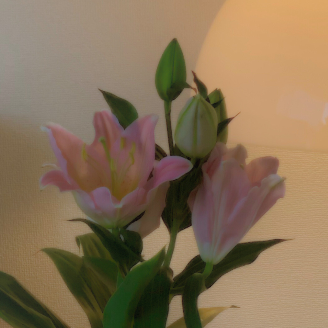 日比谷花壇様